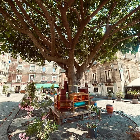 Dimora Di Nardo * קטאניה